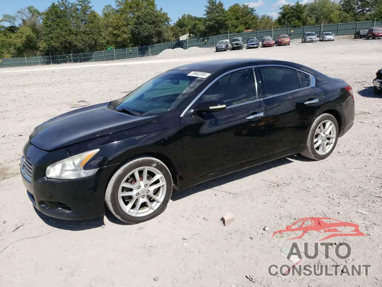 NISSAN MAXIMA 2009 - 1N4AA51E49C813917