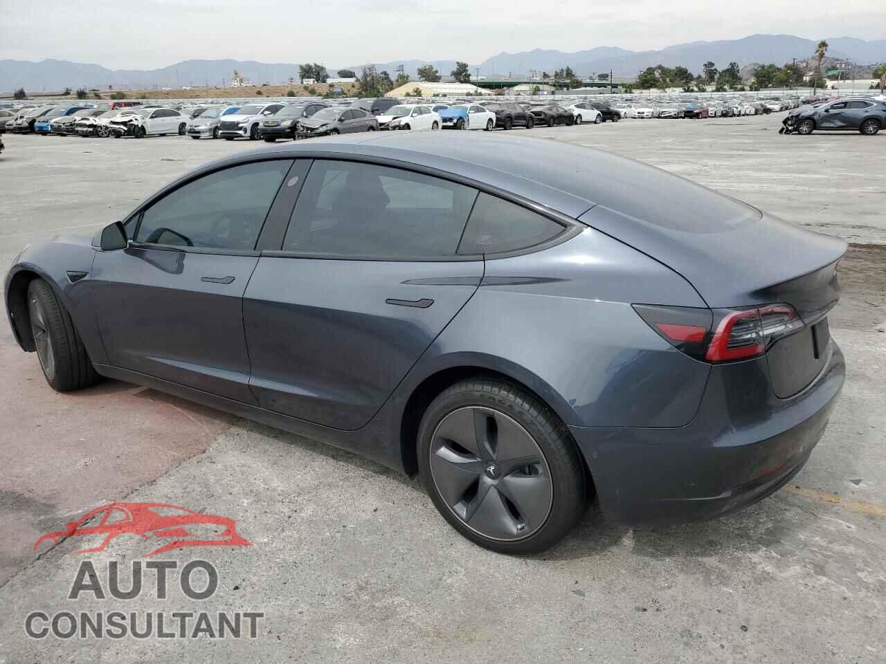 TESLA MODEL 3 2019 - 5YJ3E1EB3KF510314