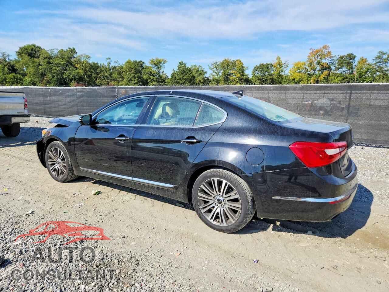 KIA CADENZA 2014 - KNALN4D79E5141976