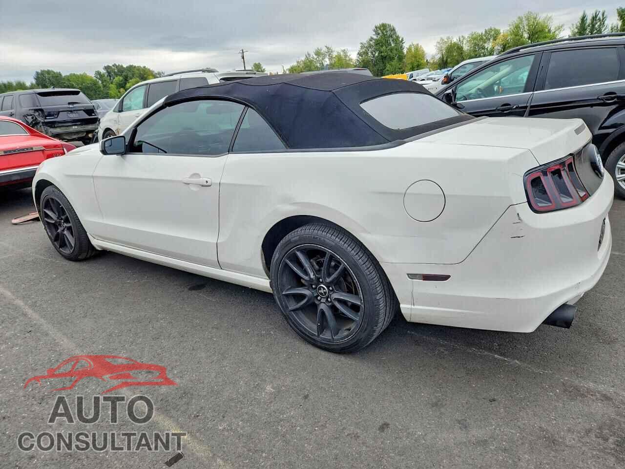 FORD MUSTANG 2013 - 1ZVBP8EM1D5224656