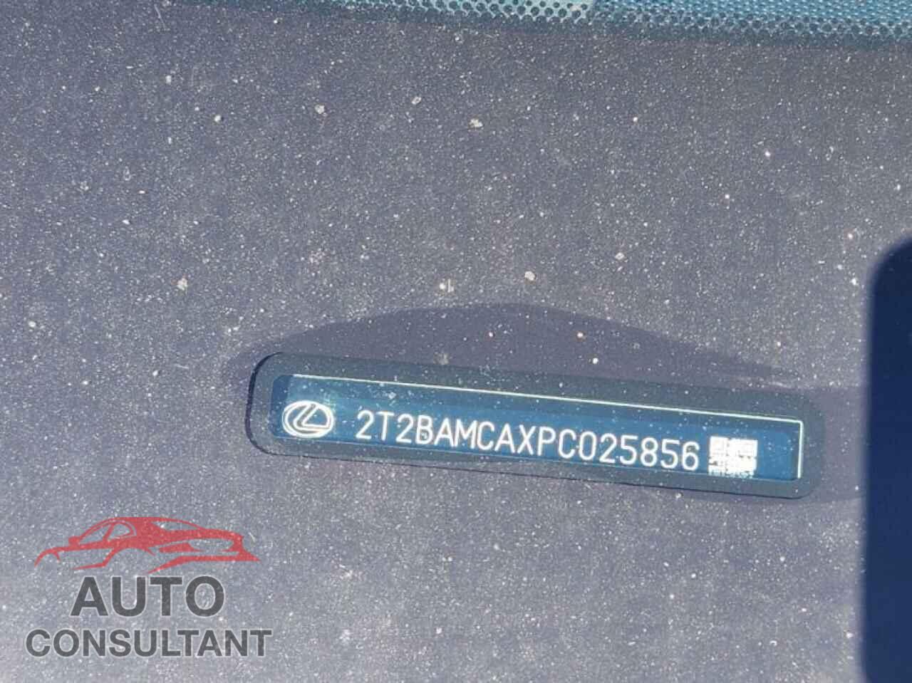 LEXUS RX350 2023 - 2T2BAMCAXPC025856