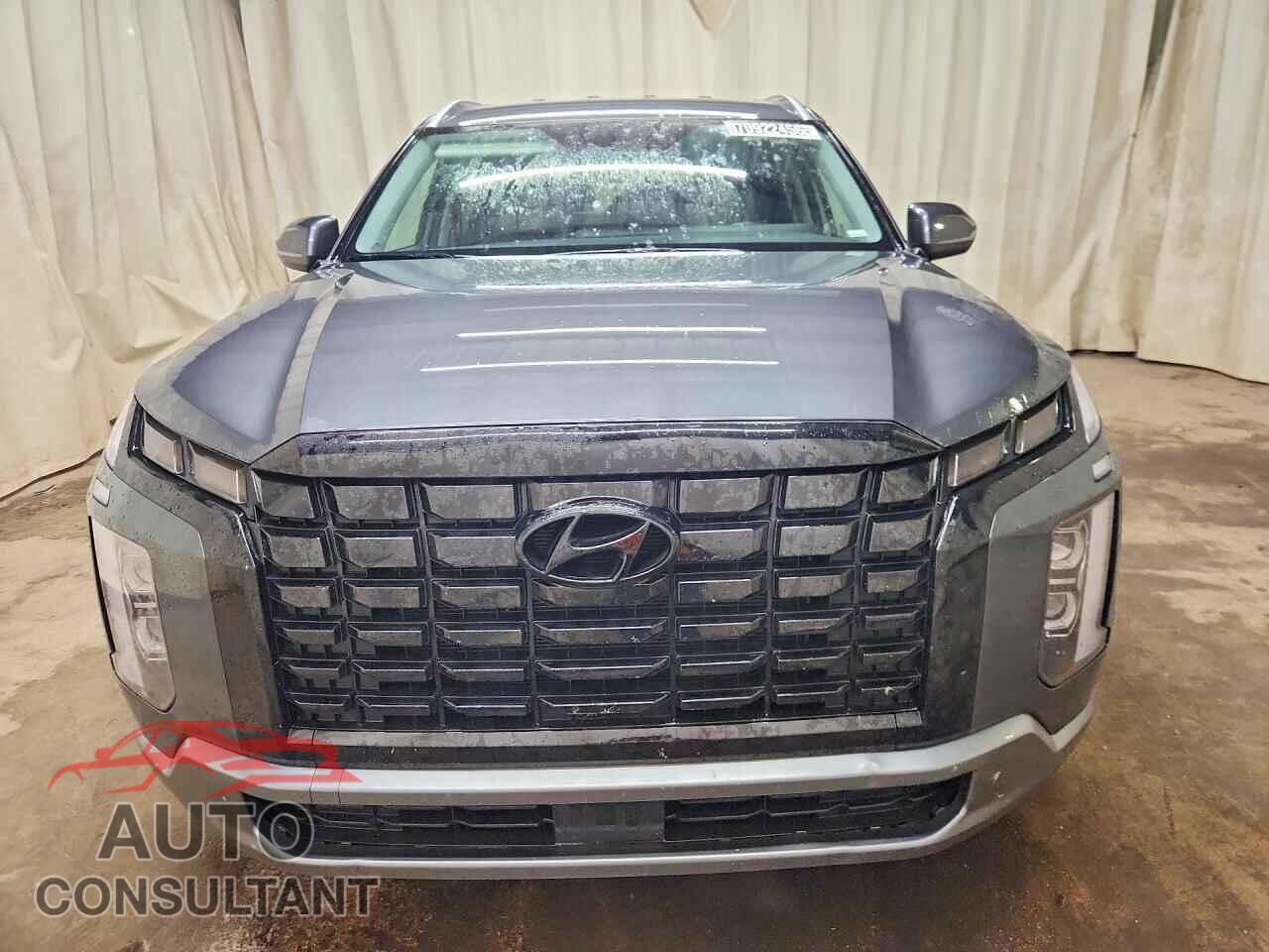 HYUNDAI PALISADE 2025 - KM8R24GEXSU862174