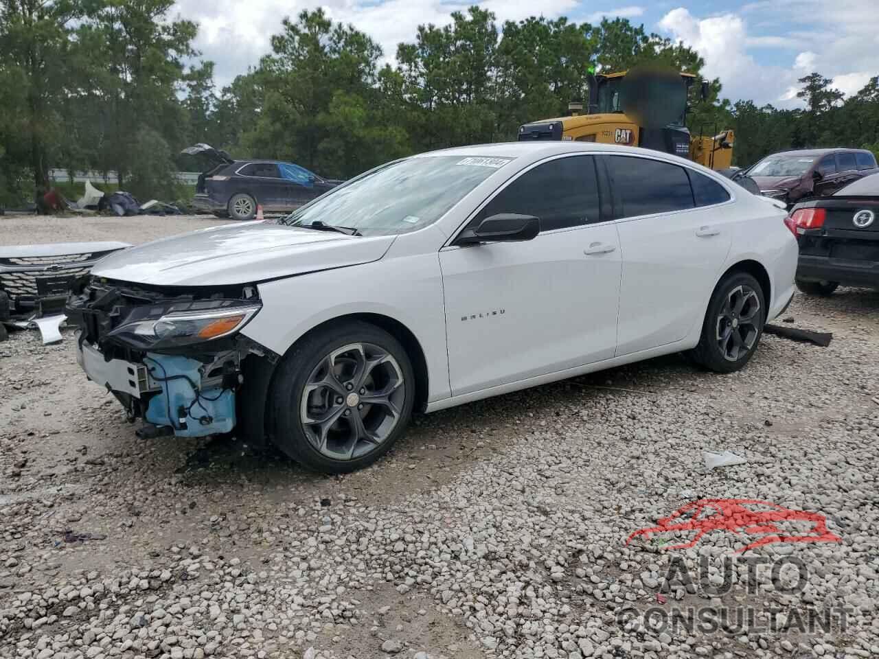 CHEVROLET MALIBU 2019 - 1G1ZG5ST1KF194411