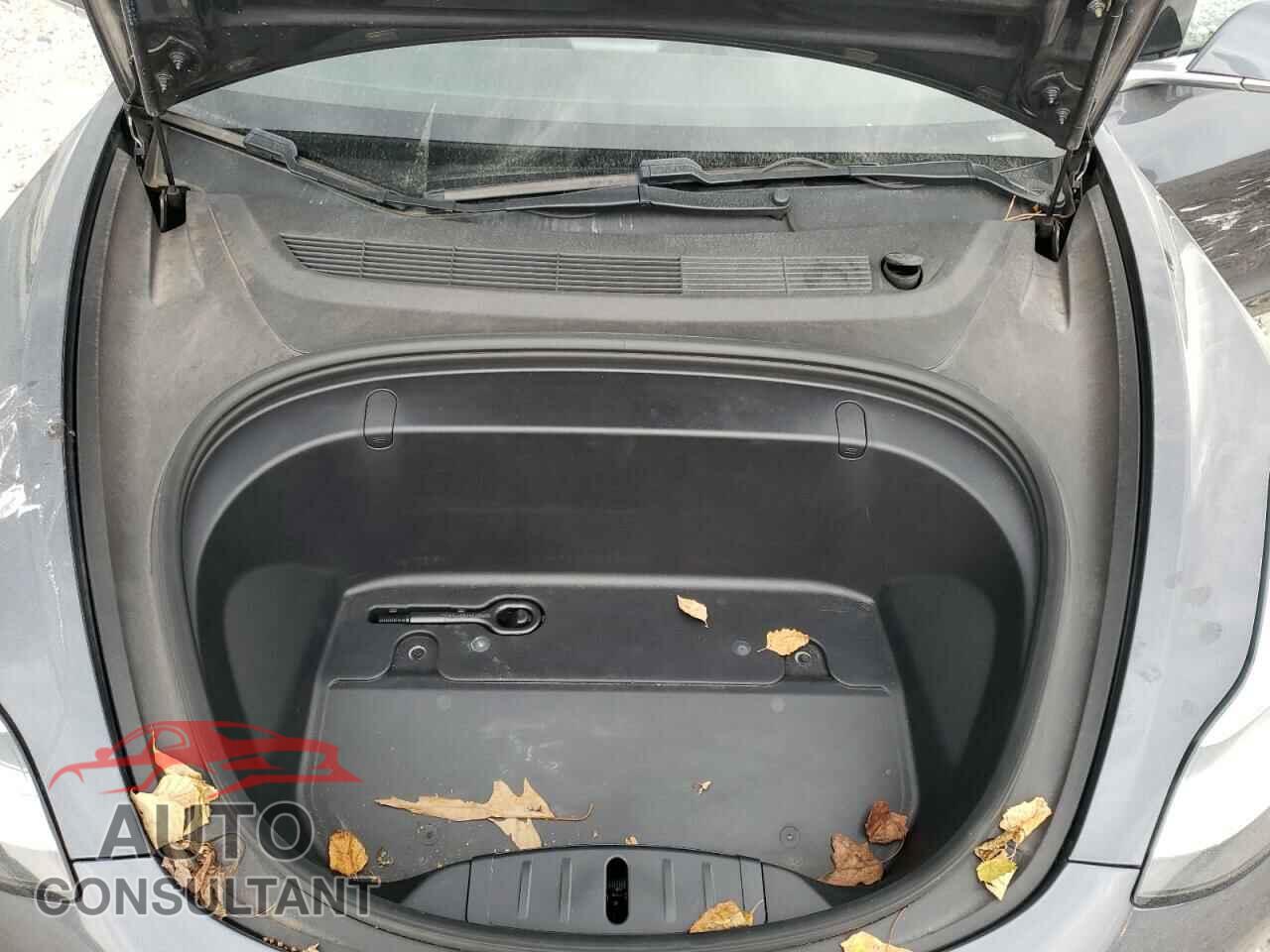 TESLA MODEL 3 2019 - 5YJ3E1EB7KF481285