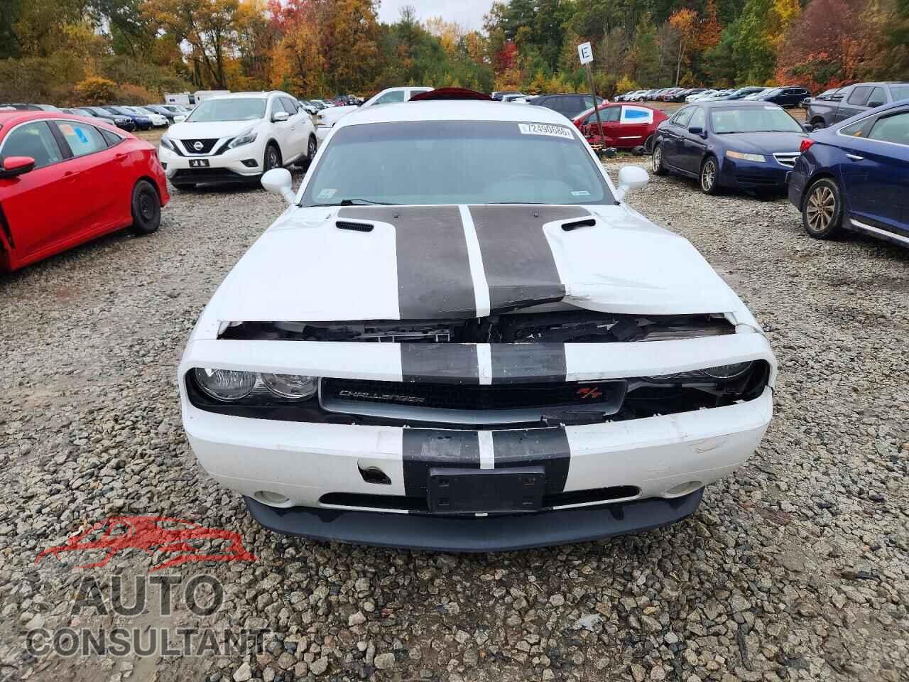 DODGE CHALLENGER 2012 - 2C3CDYBT5CH254282