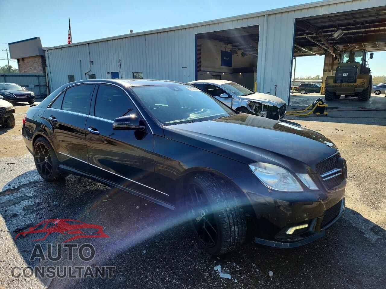 MERCEDES-BENZ E-CLASS 2010 - WDDHF7CBXAA211005