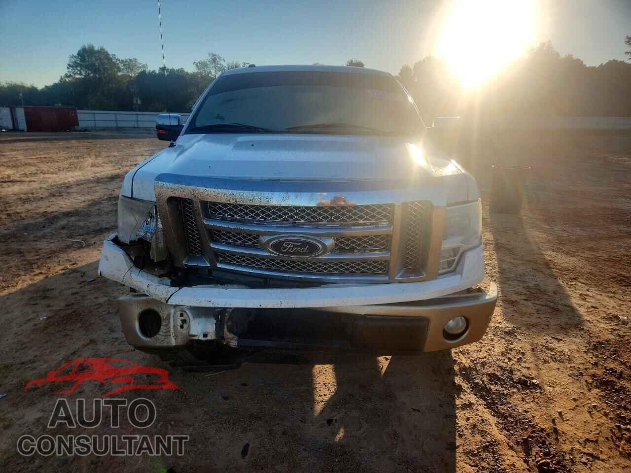 FORD F150 2011 - 1FTFW1CF6BFA03676