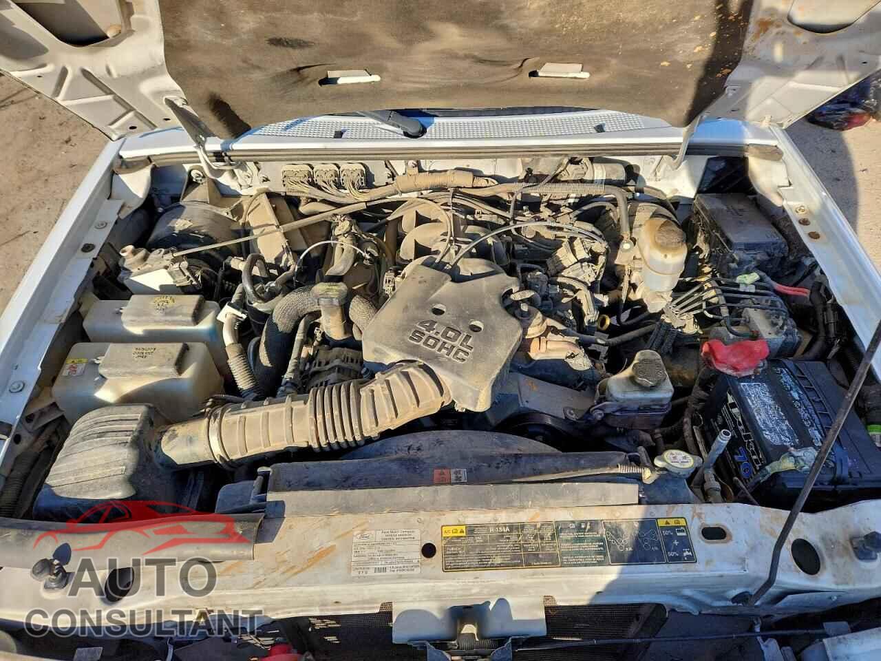 FORD RANGER 2011 - 1FTLR4FE7BPB20515