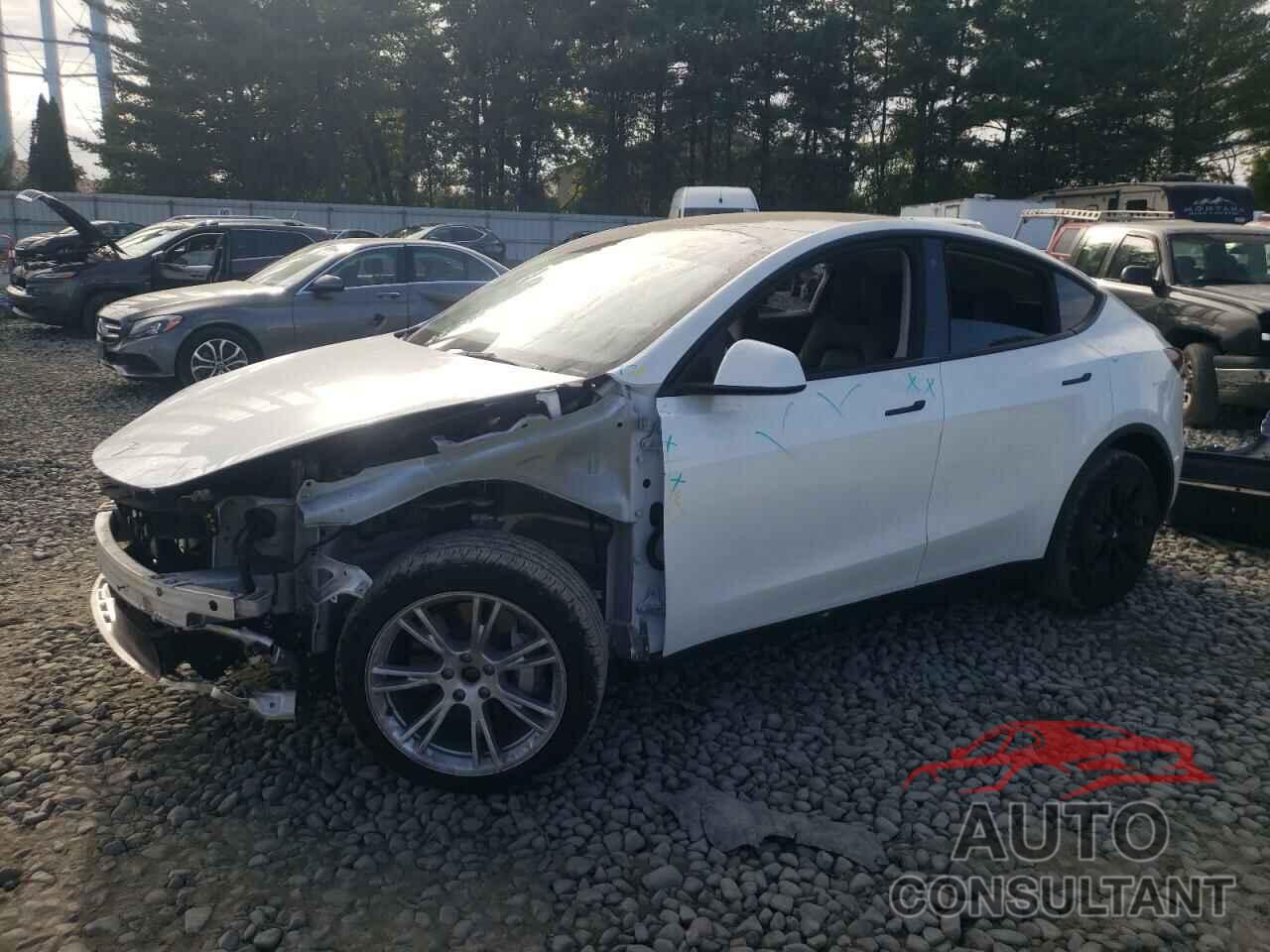 TESLA MODEL Y 2023 - 7SAYGDEE2PA115480