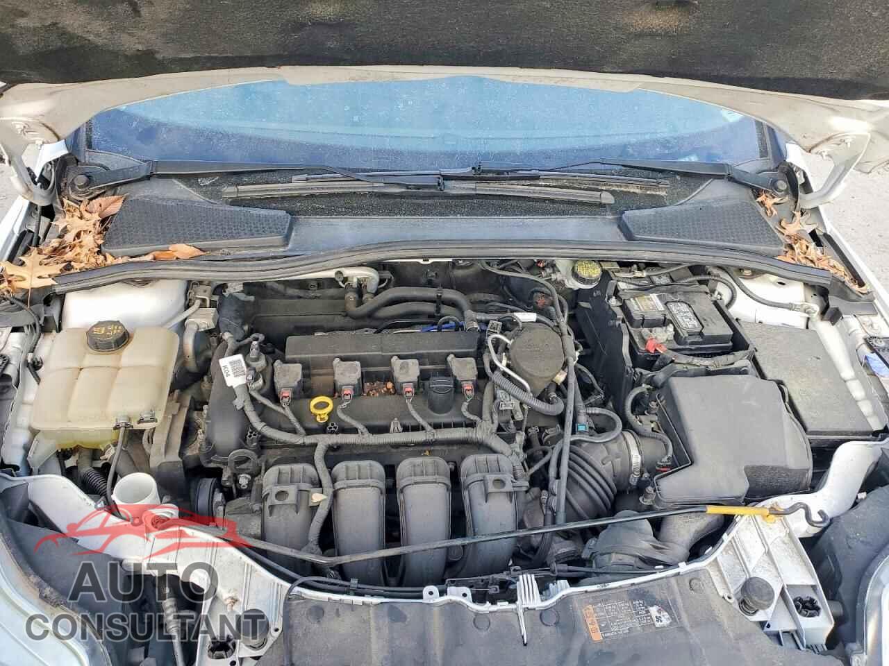 FORD FOCUS 2014 - 1FADP3F23EL406728