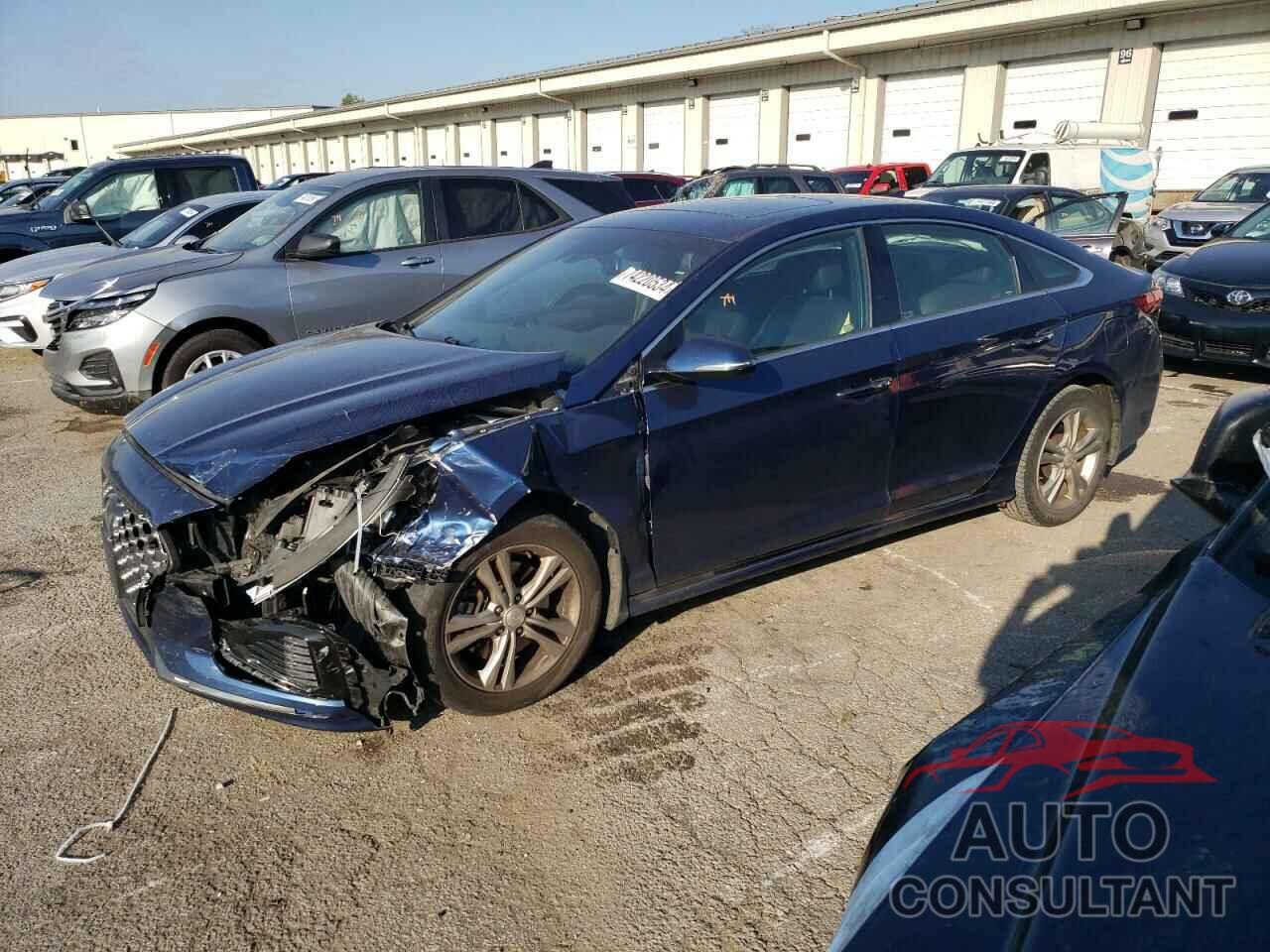 HYUNDAI SONATA 2019 - 5NPE34AFXKH809602