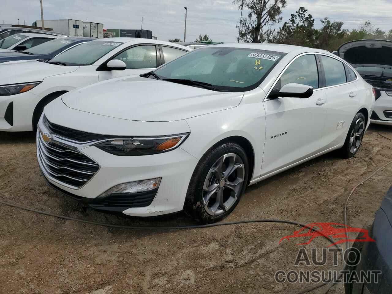 CHEVROLET MALIBU 2024 - 1G1ZD5ST1RF168992