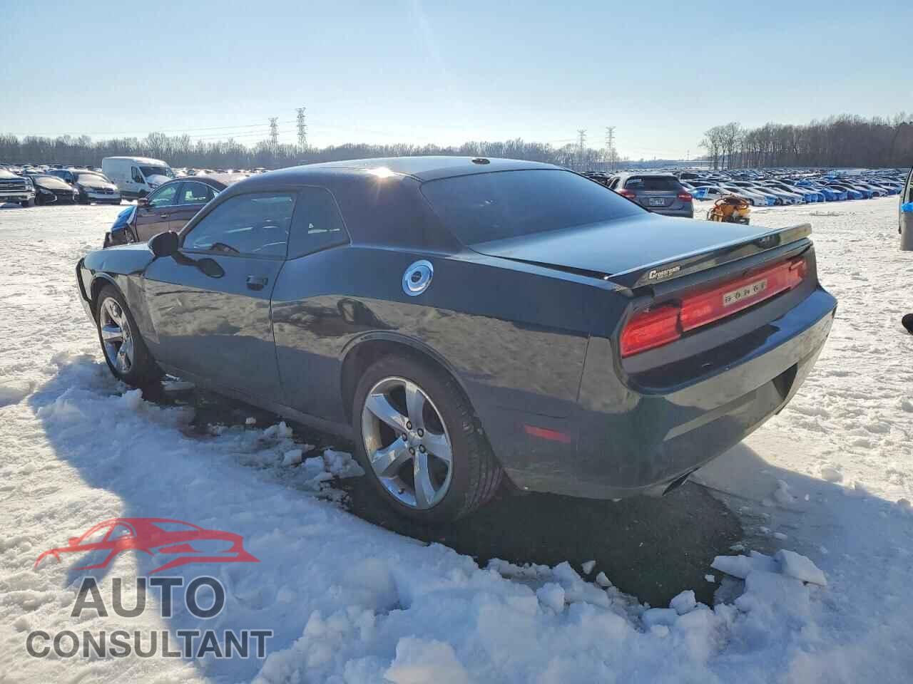 DODGE CHALLENGER 2013 - 2C3CDYAG3DH663225