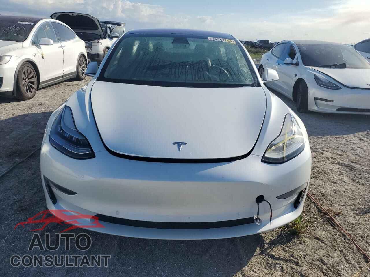 TESLA MODEL 3 2018 - 5YJ3E1EA5JF161999
