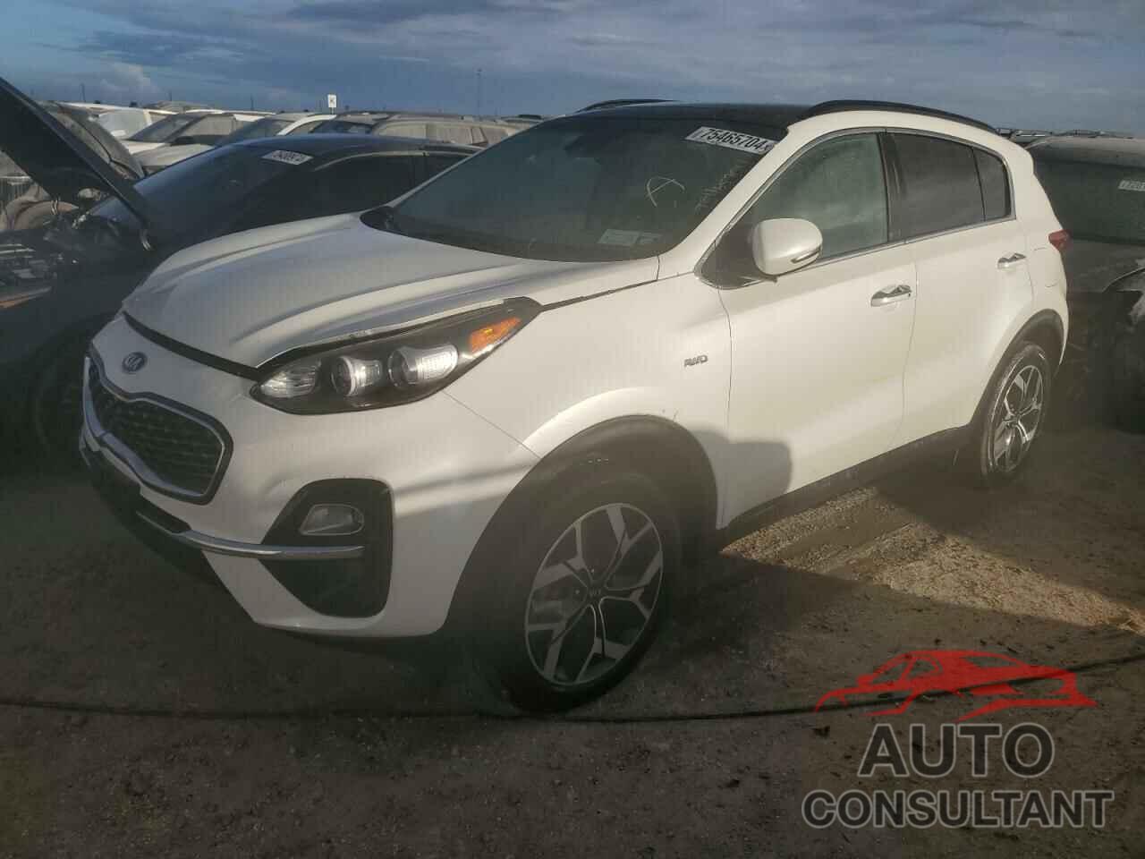 KIA SPORTAGE 2022 - KNDPNCAC1N7949825