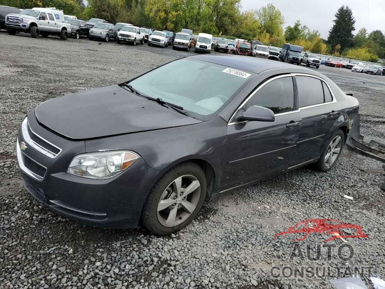 CHEVROLET MALIBU 2011 - 1G1ZC5E19BF300691