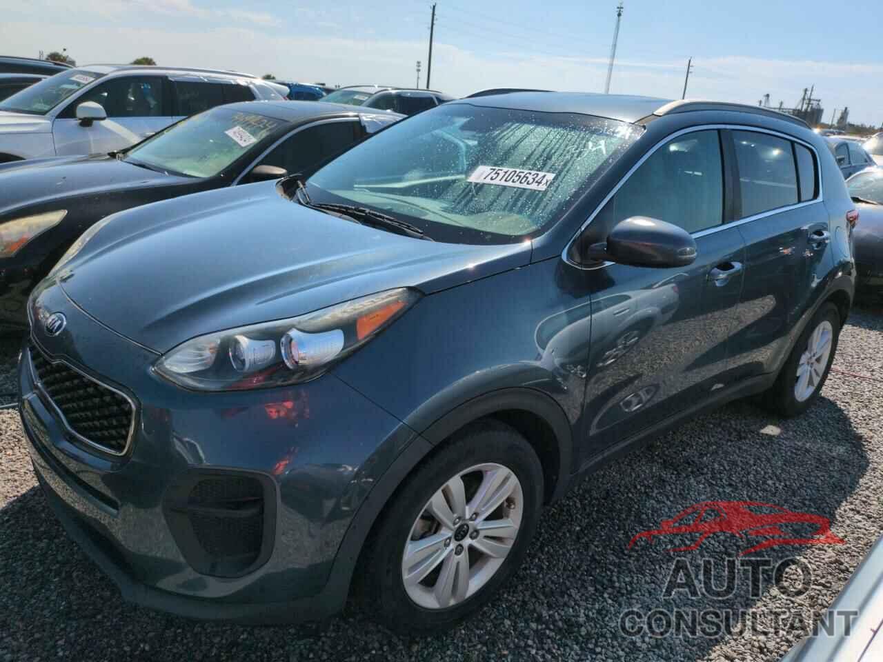 KIA SPORTAGE 2019 - KNDPM3AC7K7618052