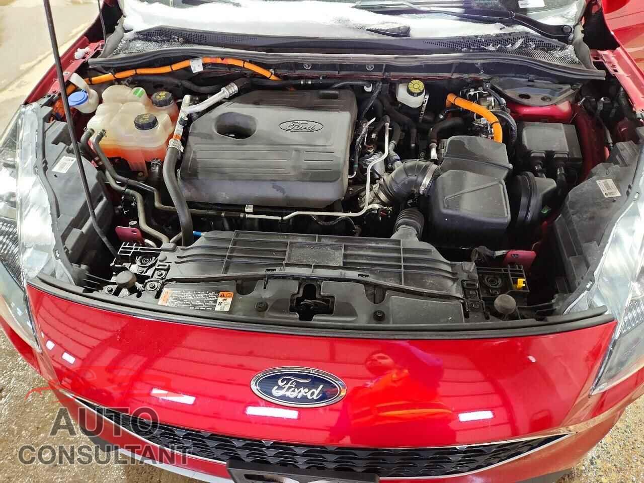 FORD ESCAPE 2020 - 1FMCU0DZ6LUA48671