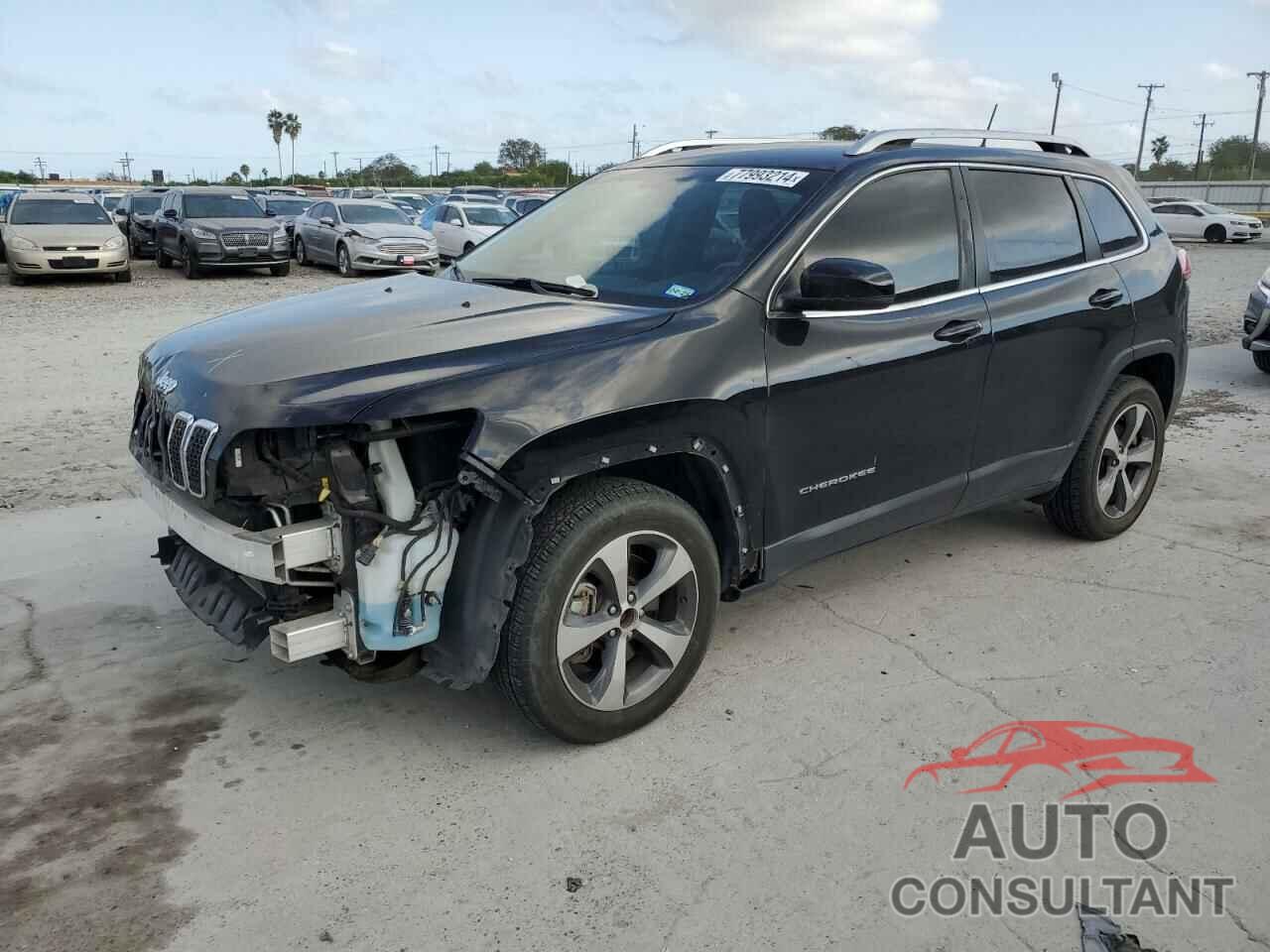 JEEP GRAND CHER 2019 - 1C4PJMDX3KD239595