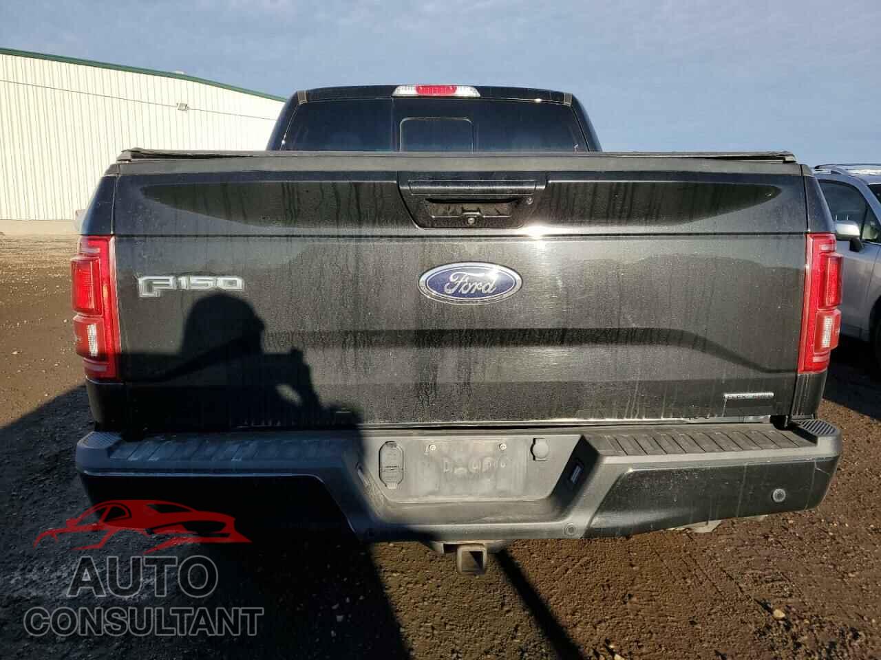 FORD F-150 2015 - 1FTEW1EF0FFC39352