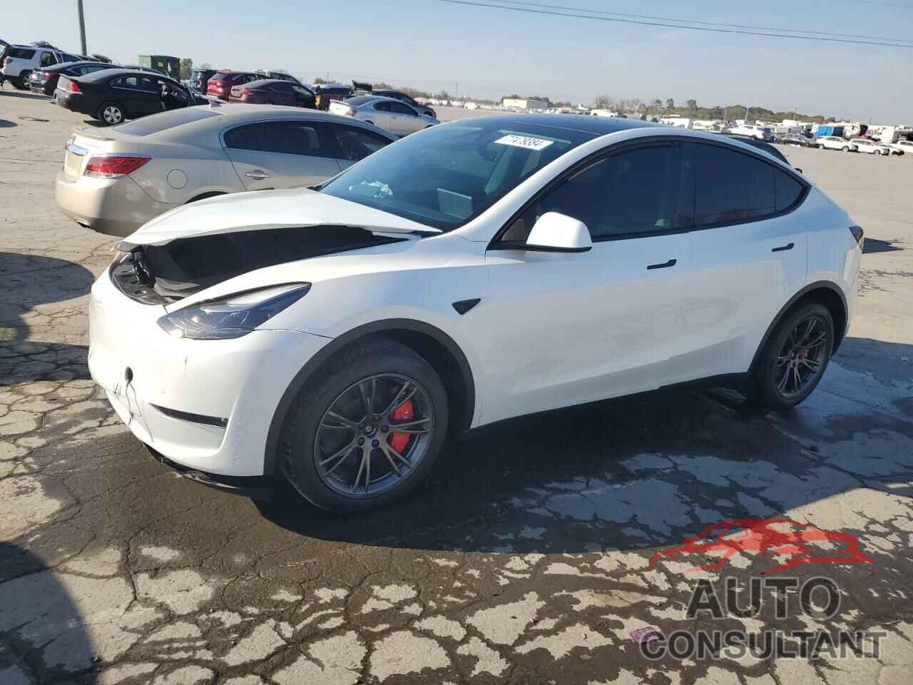 TESLA MODEL Y 2024 - 7SAYGDEE8RA319820