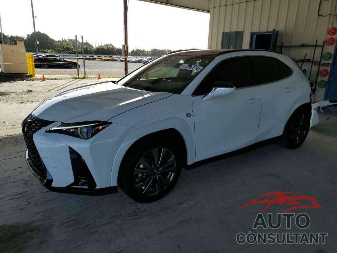 LEXUS UX 250H PR 2023 - JTHR6JBH2P2150820