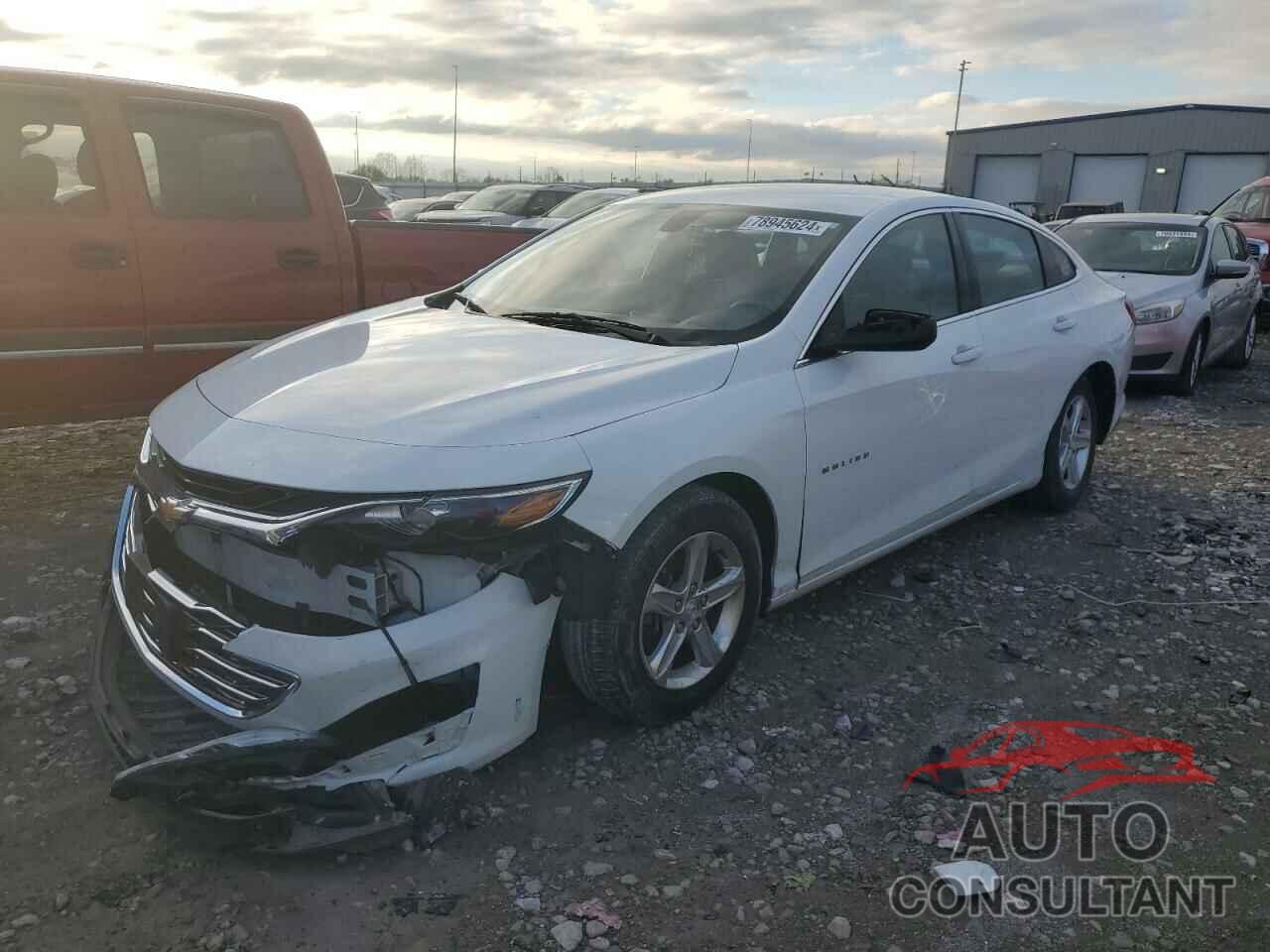 CHEVROLET MALIBU 2019 - 1G1ZC5ST0KF182178