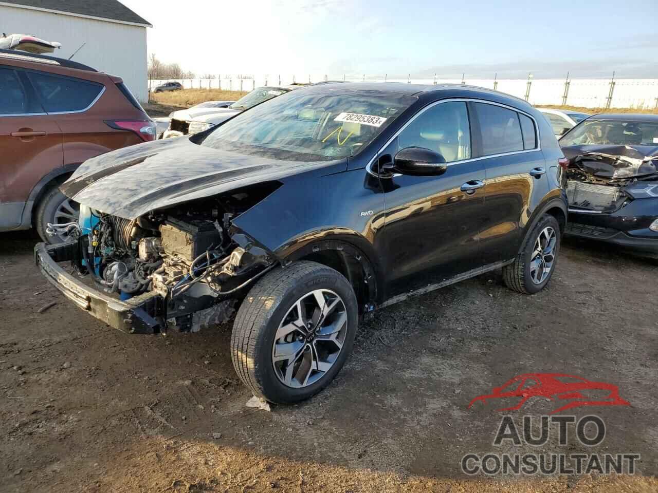 KIA SPORTAGE 2020 - KNDPNCAC9L7717759