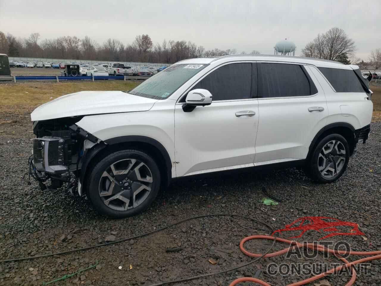 HYUNDAI PALISADE 2024 - KM8R5DGE5RU667410