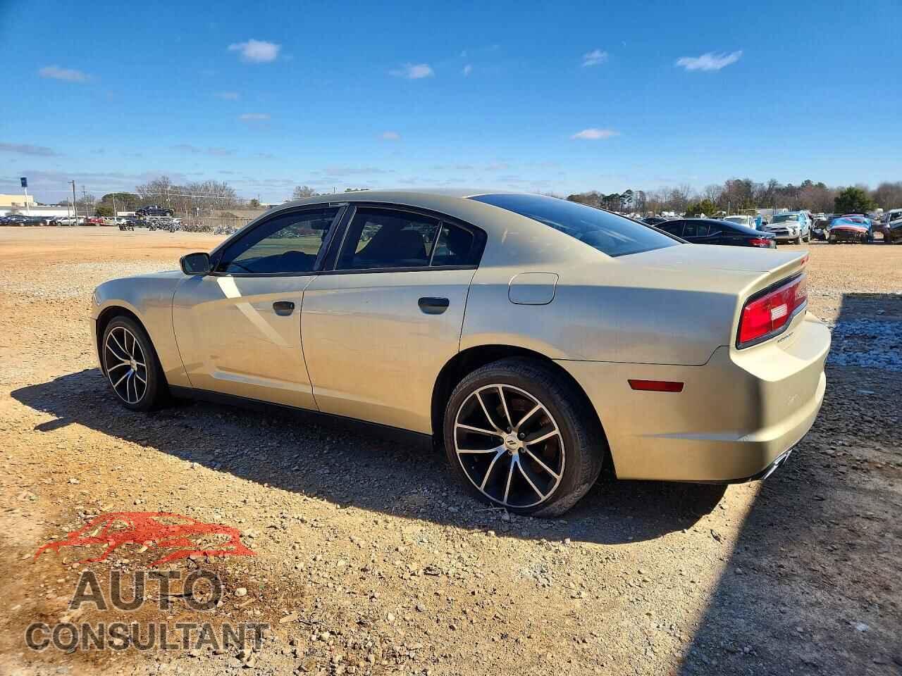 DODGE CHARGER 2013 - 2C3CDXAT2DH619644