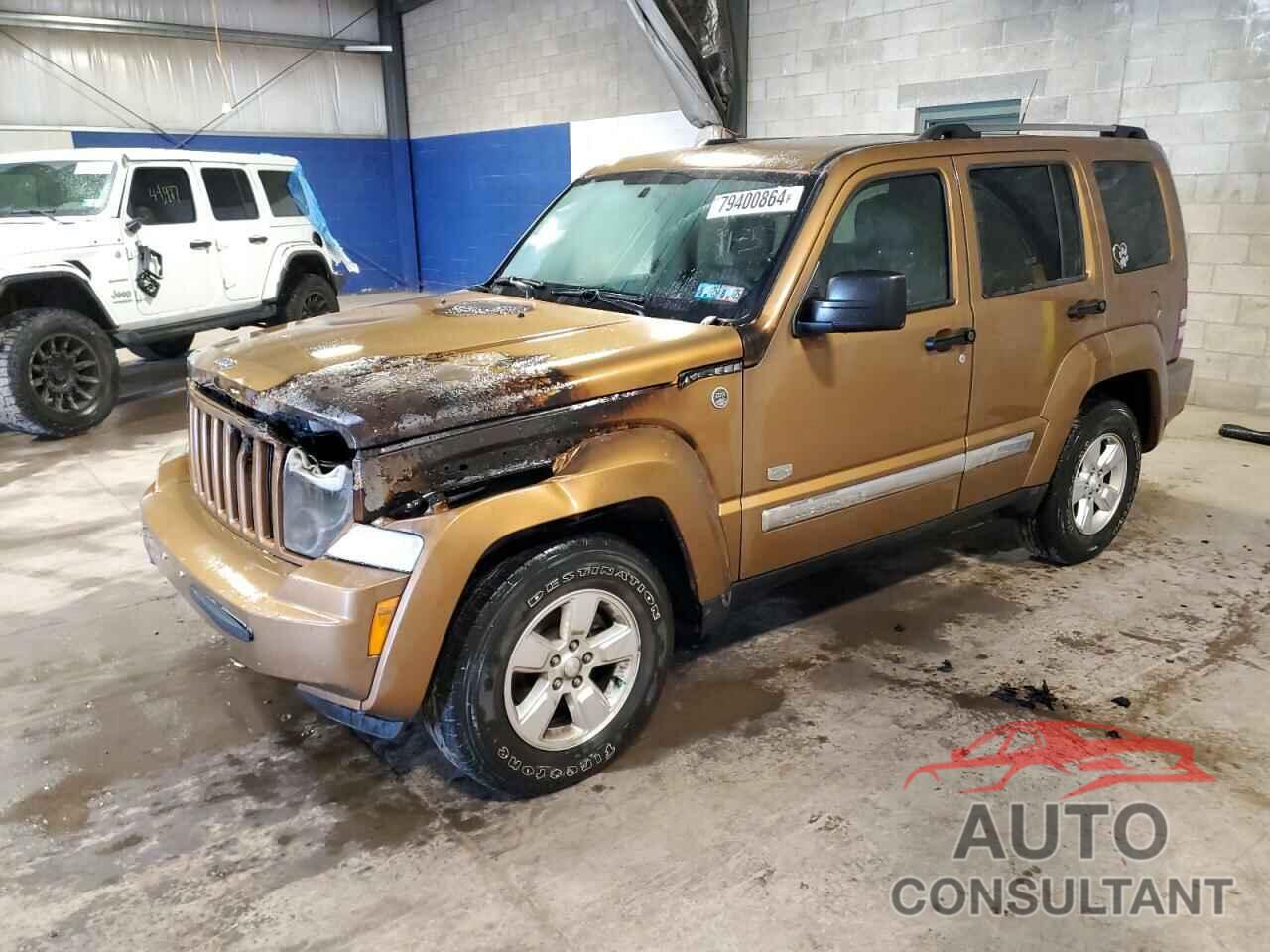 JEEP LIBERTY 2011 - 1J4PN2GKXBW557897