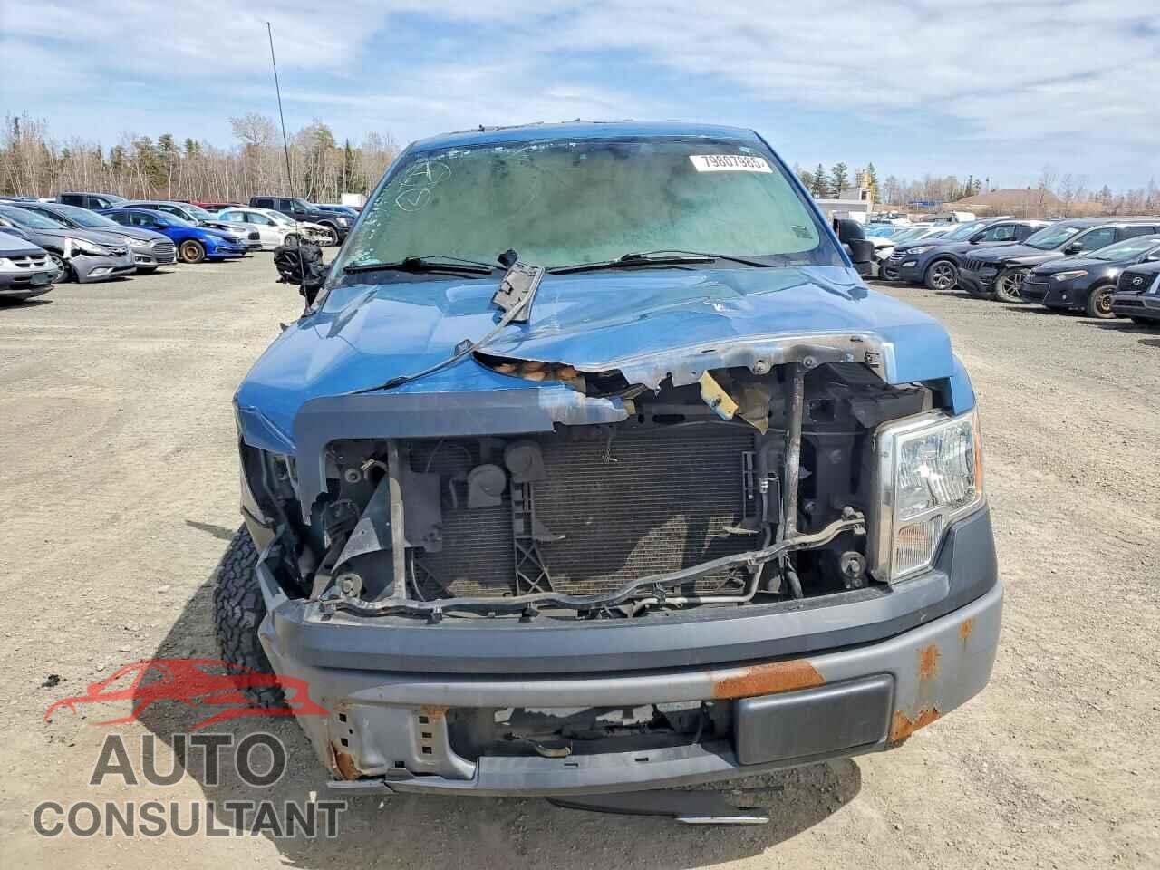 FORD F150 2013 - 1FTMF1CM1DKF62018
