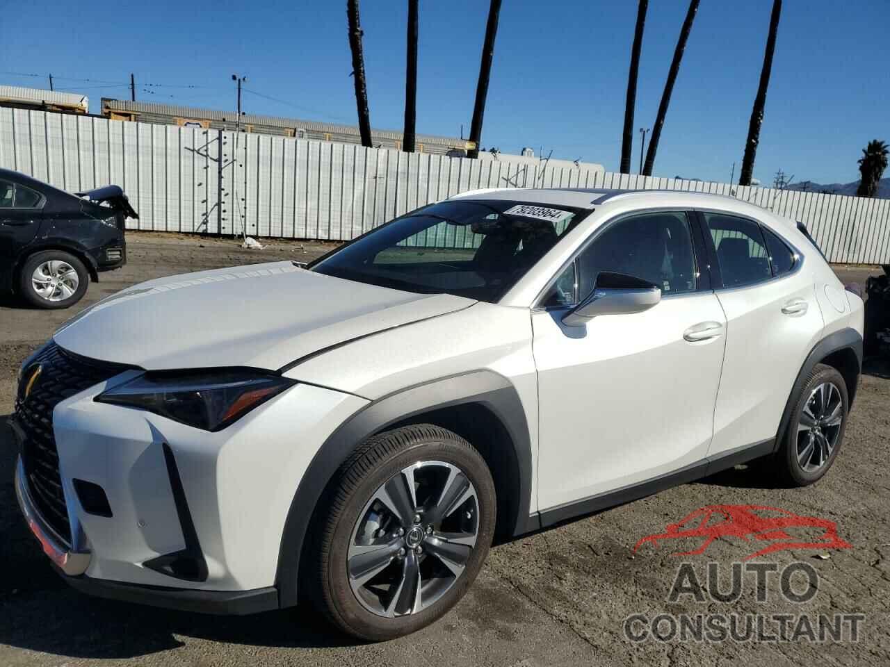 LEXUS UX 250H BA 2024 - JTHX6JBH0R2188086