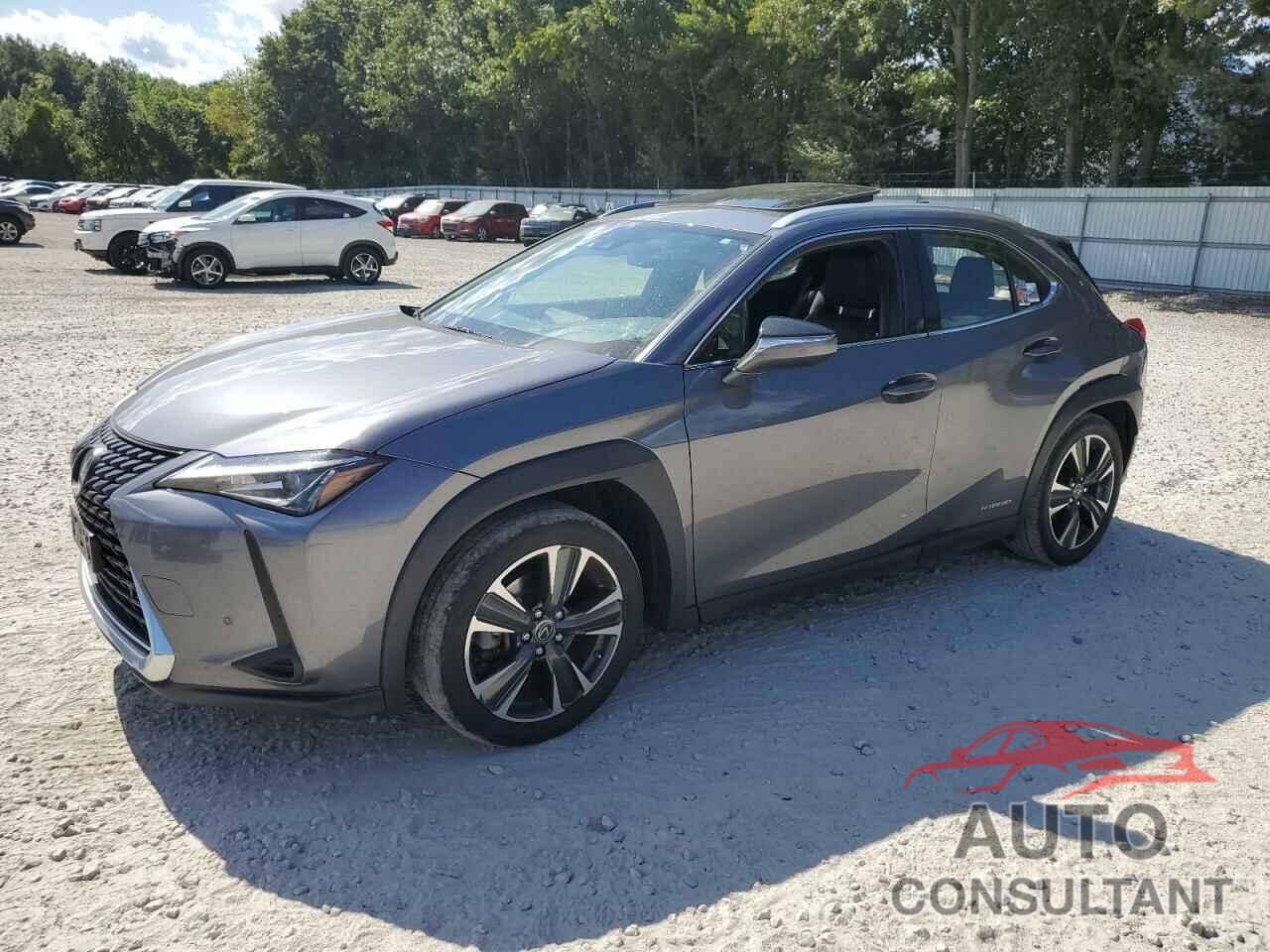 LEXUS UX 250H 2019 - JTHU9JBH9K2000441