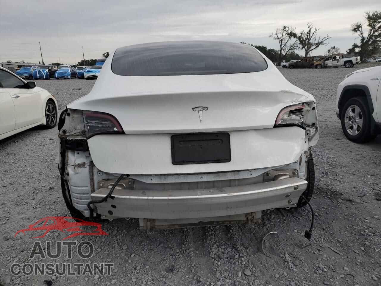TESLA MODEL 3 2020 - 5YJ3E1EA3LF659024