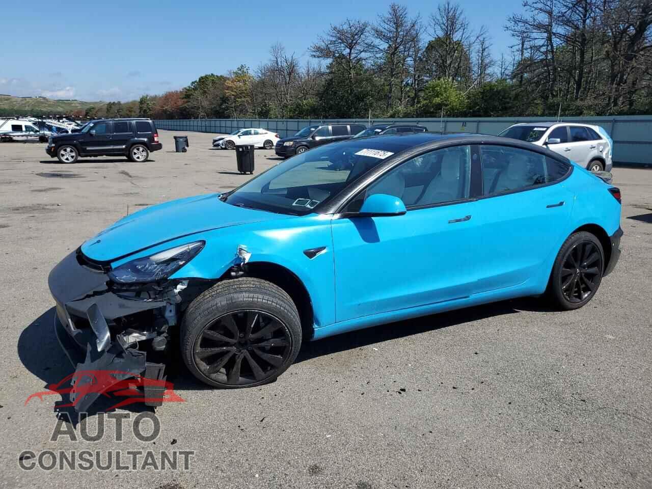 TESLA MODEL 3 2019 - 5YJ3E1EB8KF494885