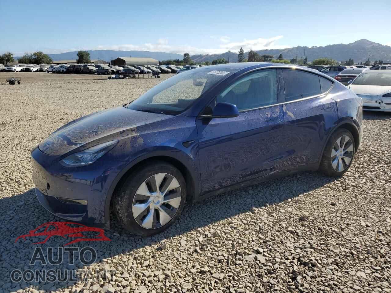 TESLA MODEL Y 2022 - 7SAYGAEE7NF392995