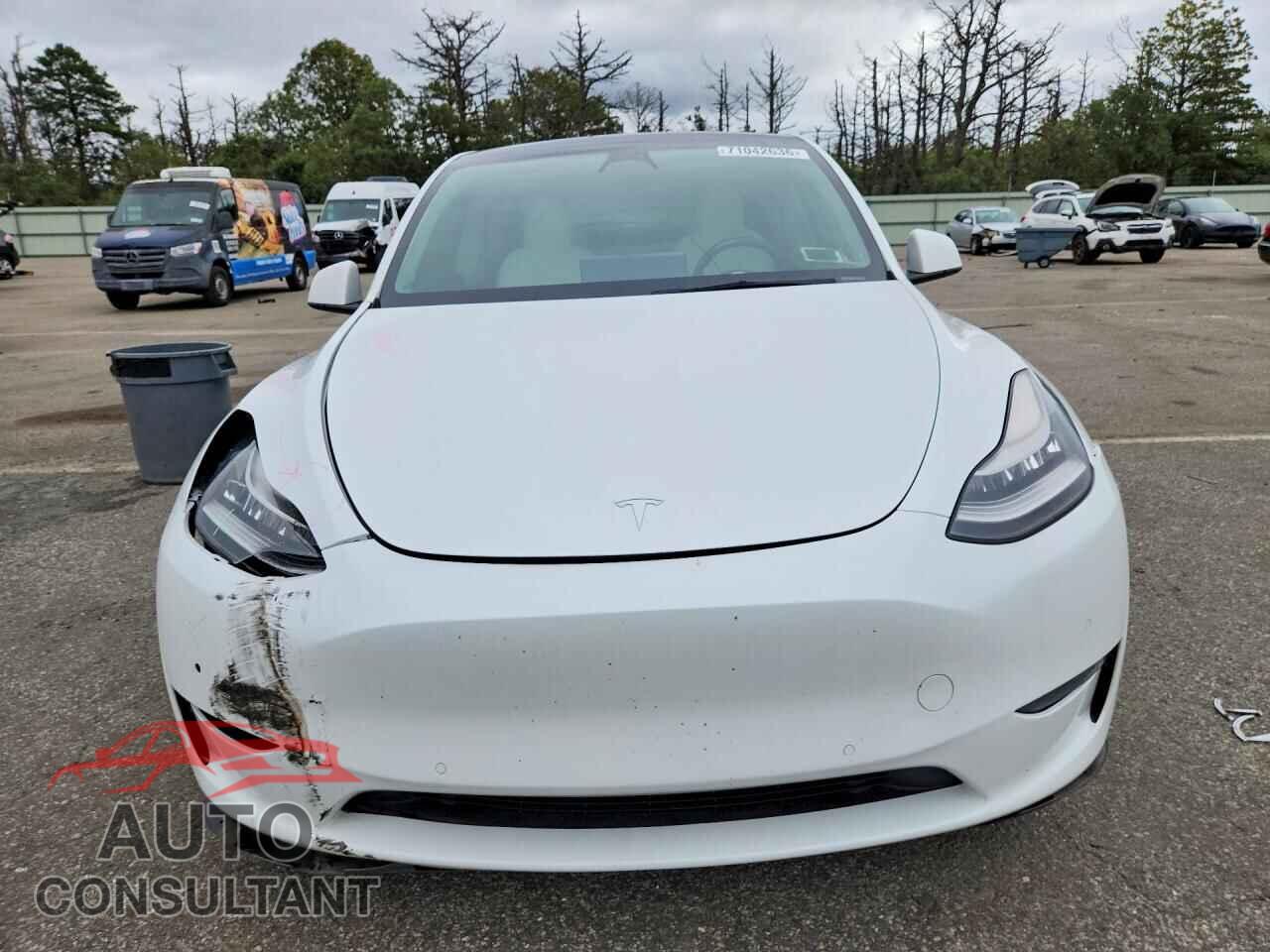 TESLA MODEL Y 2021 - 5YJYGDEE4MF089881
