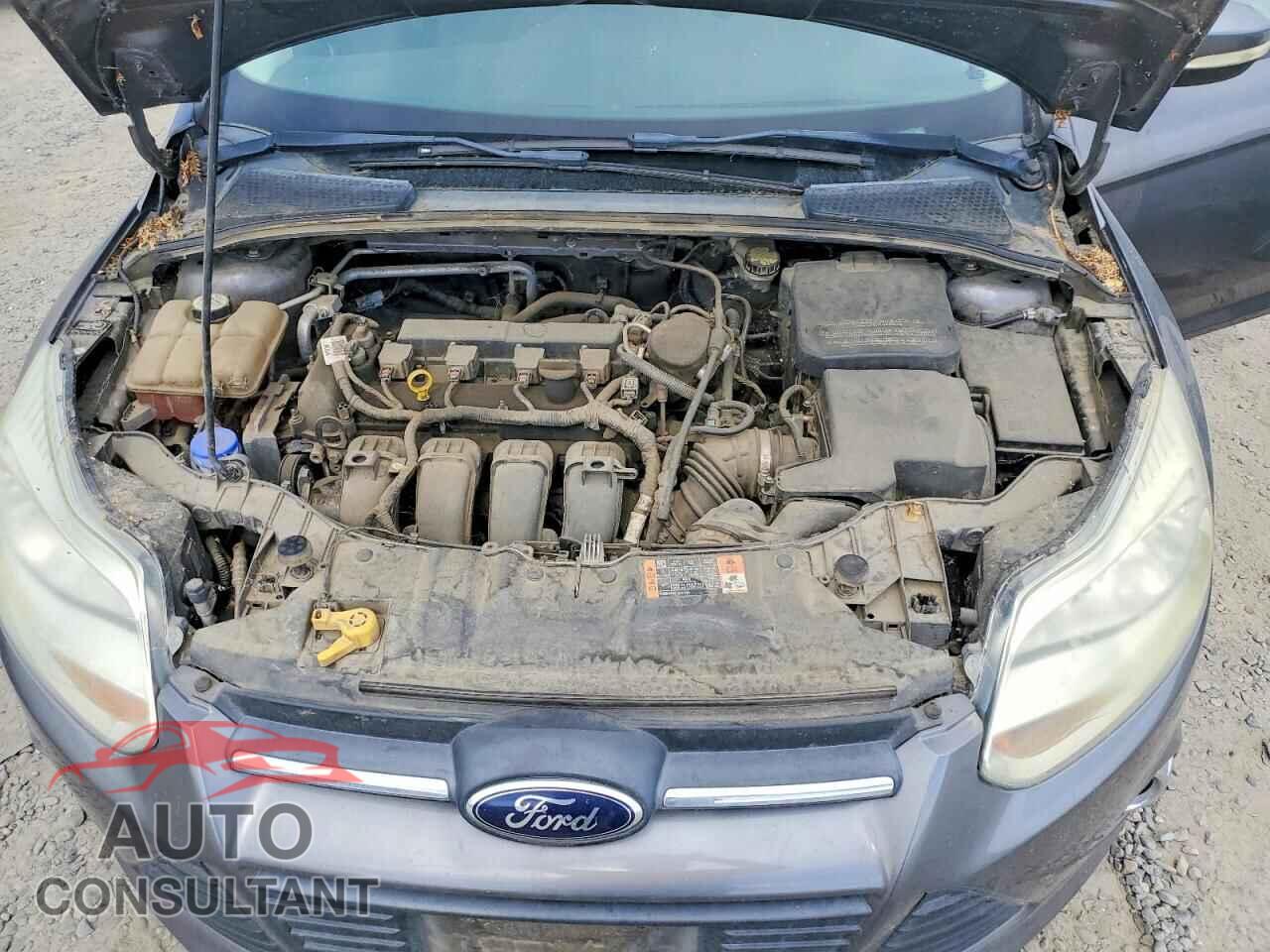 FORD FOCUS 2014 - 1FADP3F29EL341464