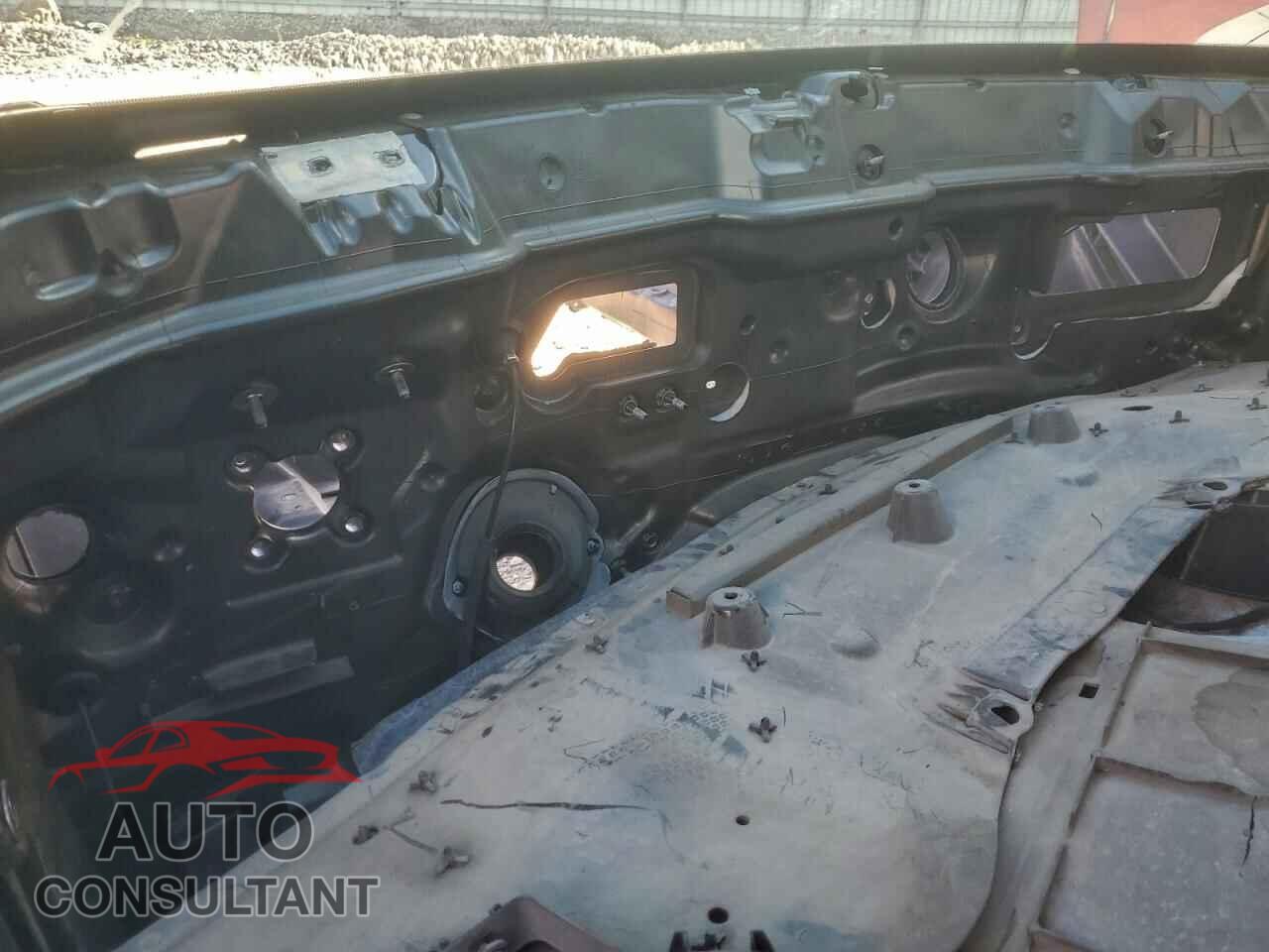 DODGE CHALLENGER 2019 - 2C3CDZFJ7KH750181