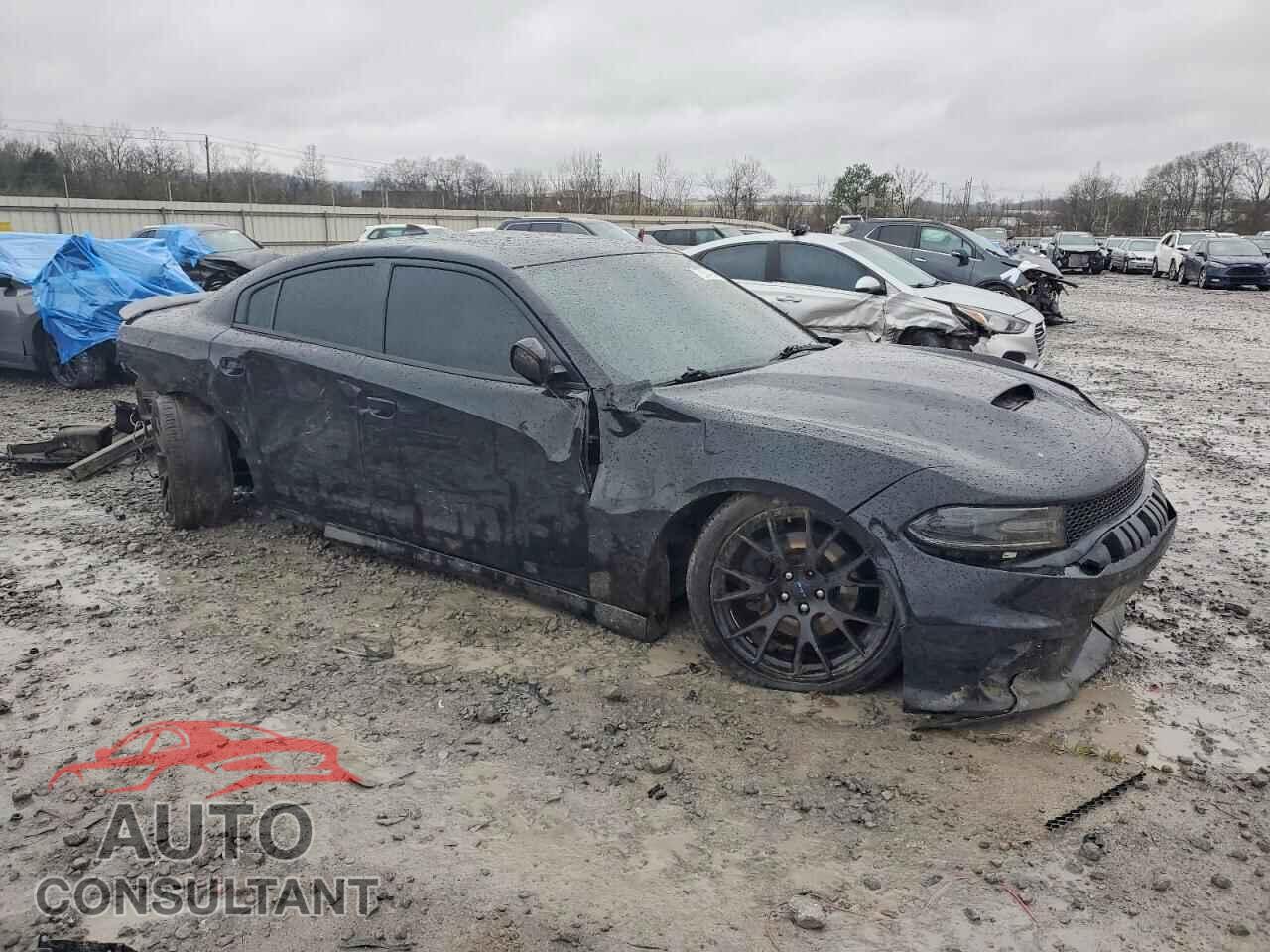 DODGE CHARGER 2017 - 2C3CDXCT1HH620836