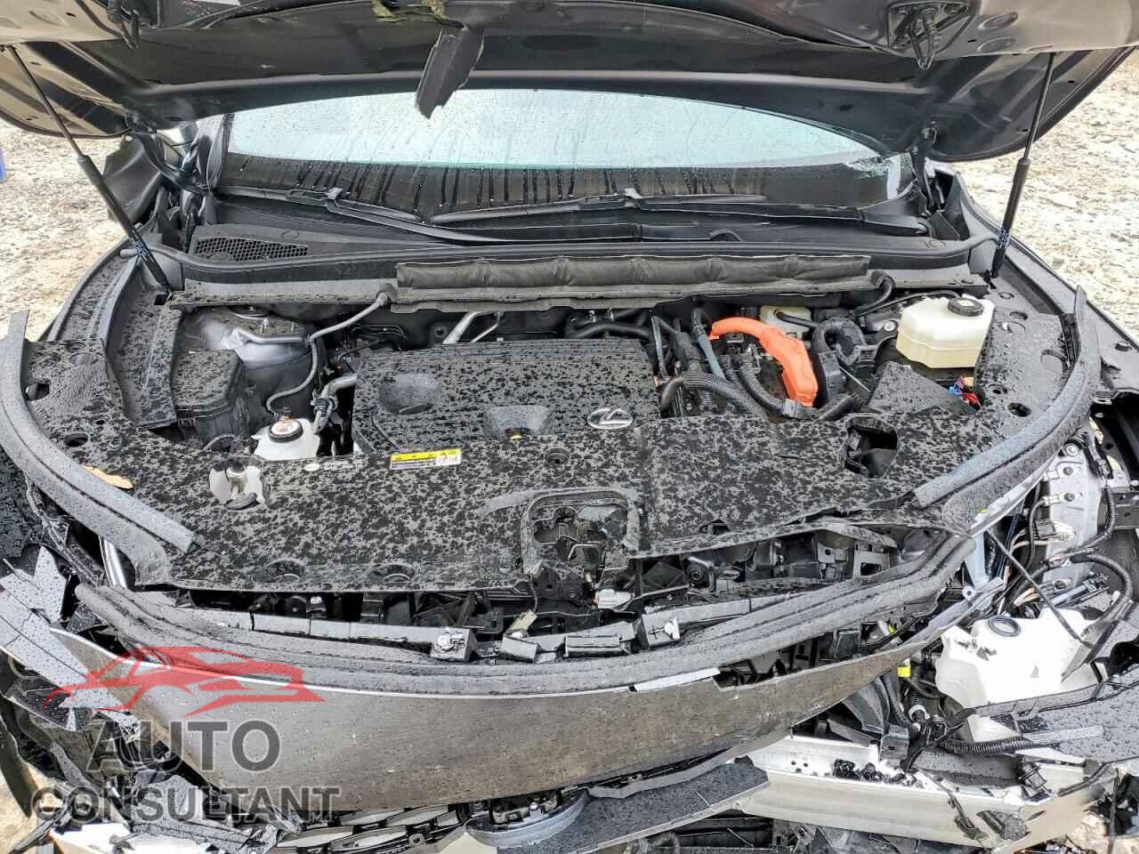 LEXUS RX 350H BA 2023 - 2T2BBMCA2PC017828