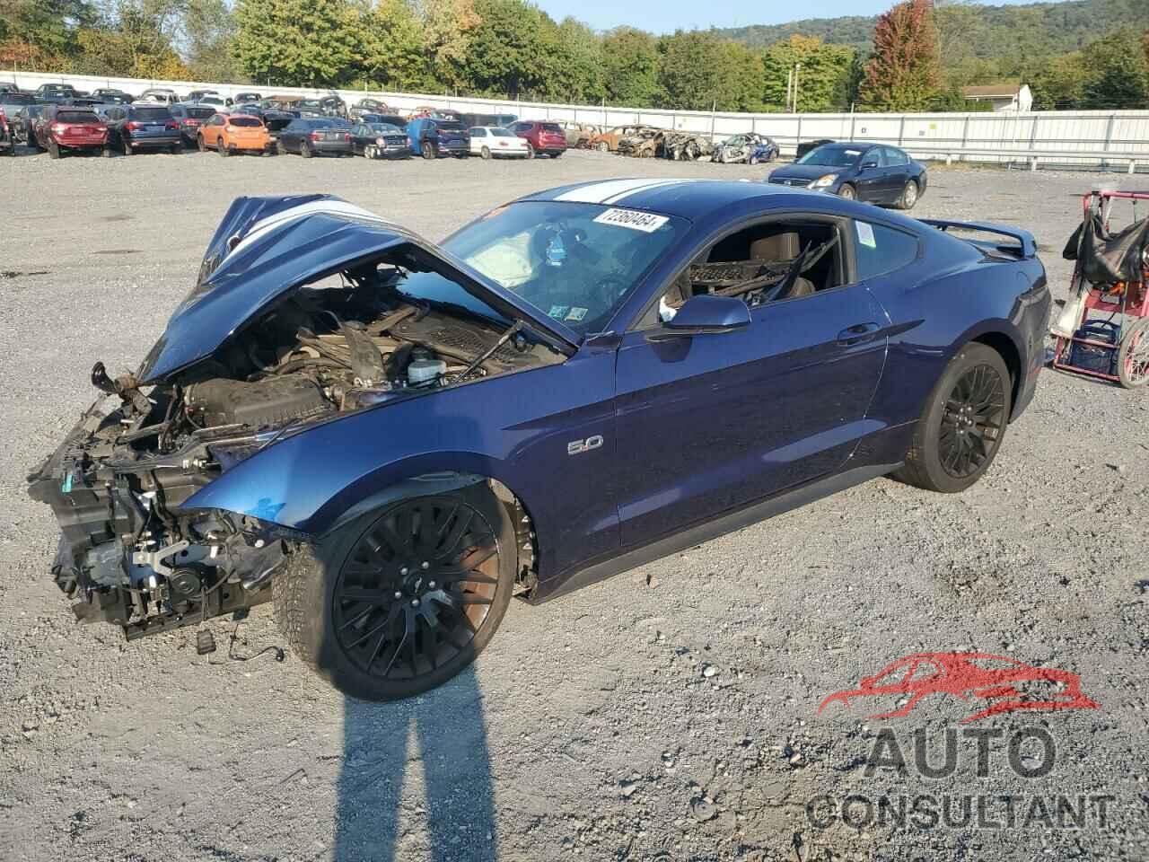 FORD MUSTANG 2019 - 1FA6P8CF5K5122059