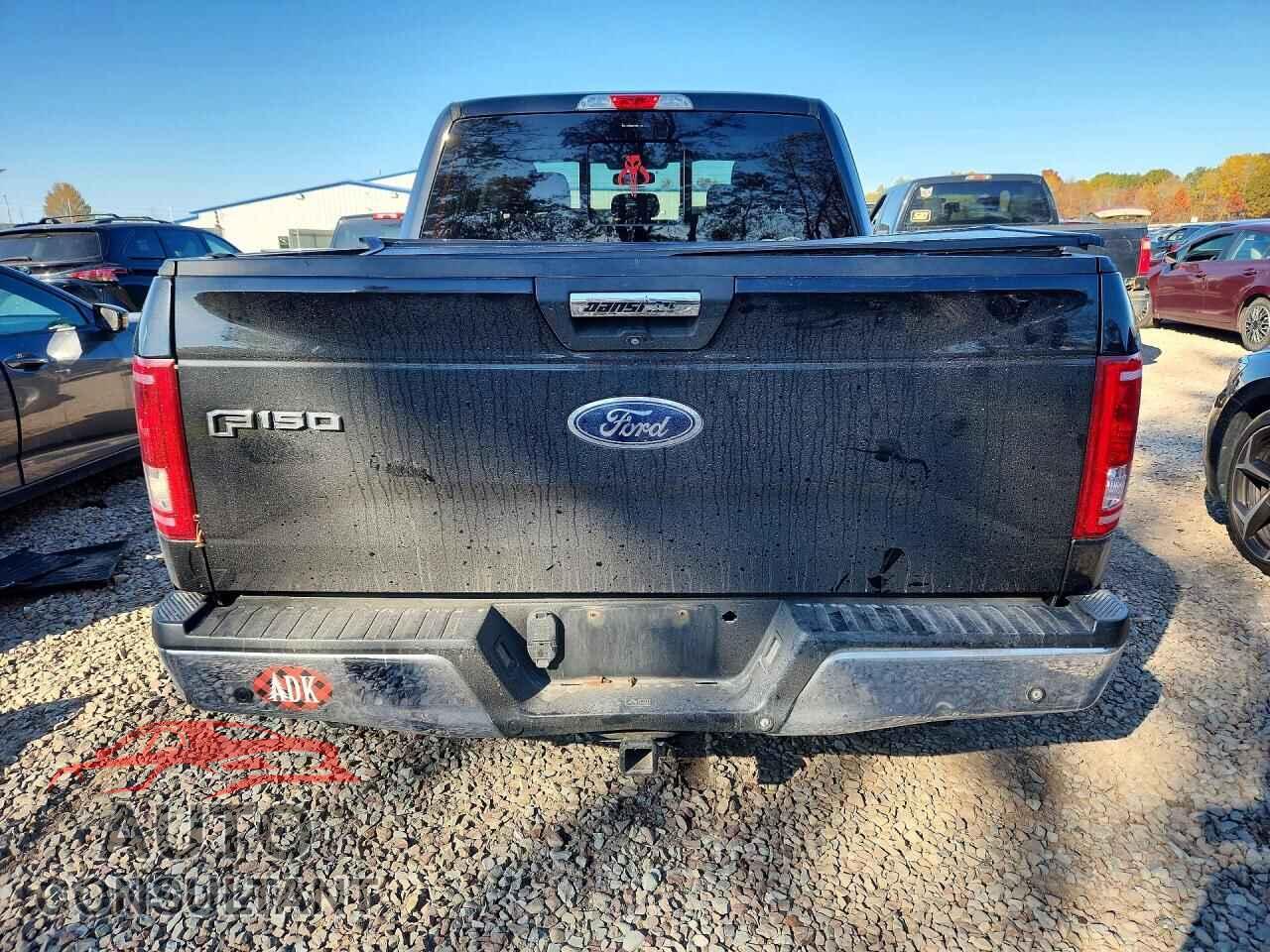FORD F150 2015 - 1FTEW1EFXFFA01721