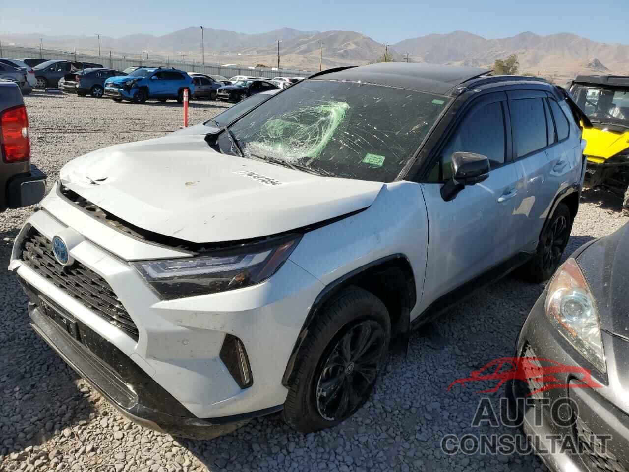 TOYOTA RAV4 2024 - JTME6RFV1RD559381