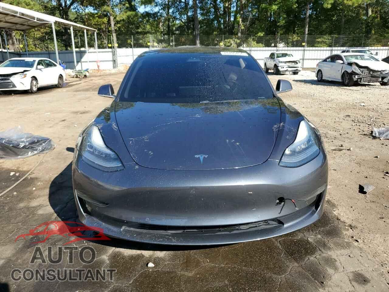 TESLA MODEL 3 2019 - 5YJ3E1EB2KF205418