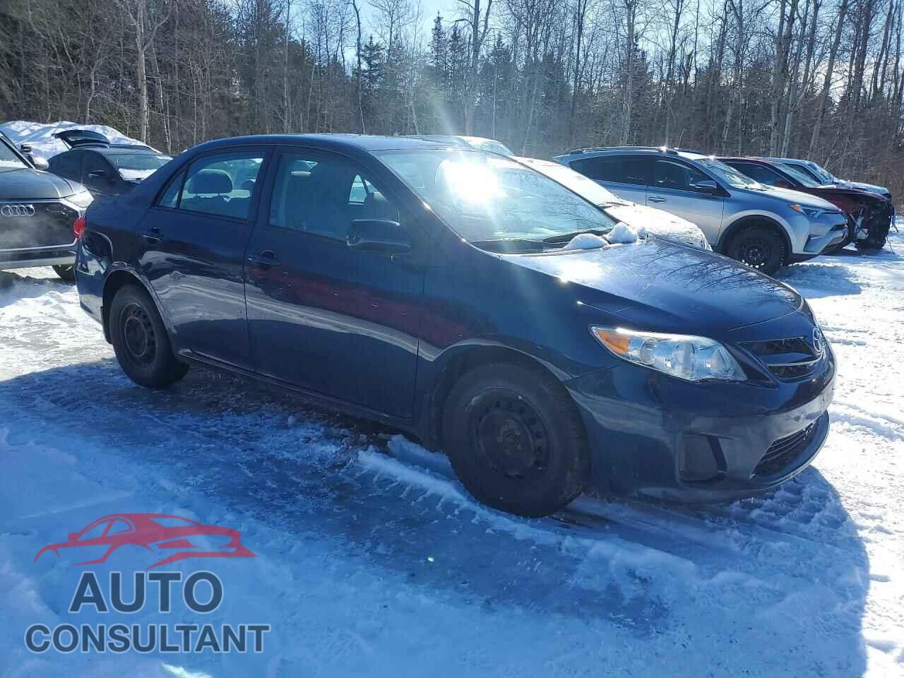TOYOTA COROLLA 2011 - 2T1BU4EE8BC665844