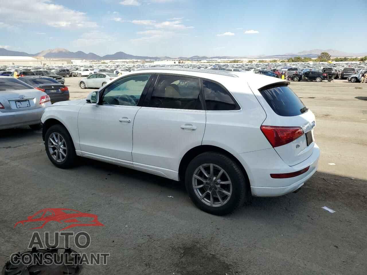 AUDI Q5 2011 - WA1CFAFP6BA046803
