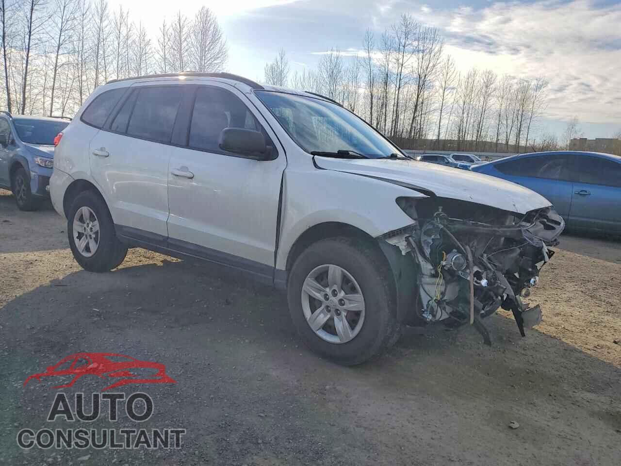HYUNDAI SANTA FE 2009 - 5NMSG73D59H306572