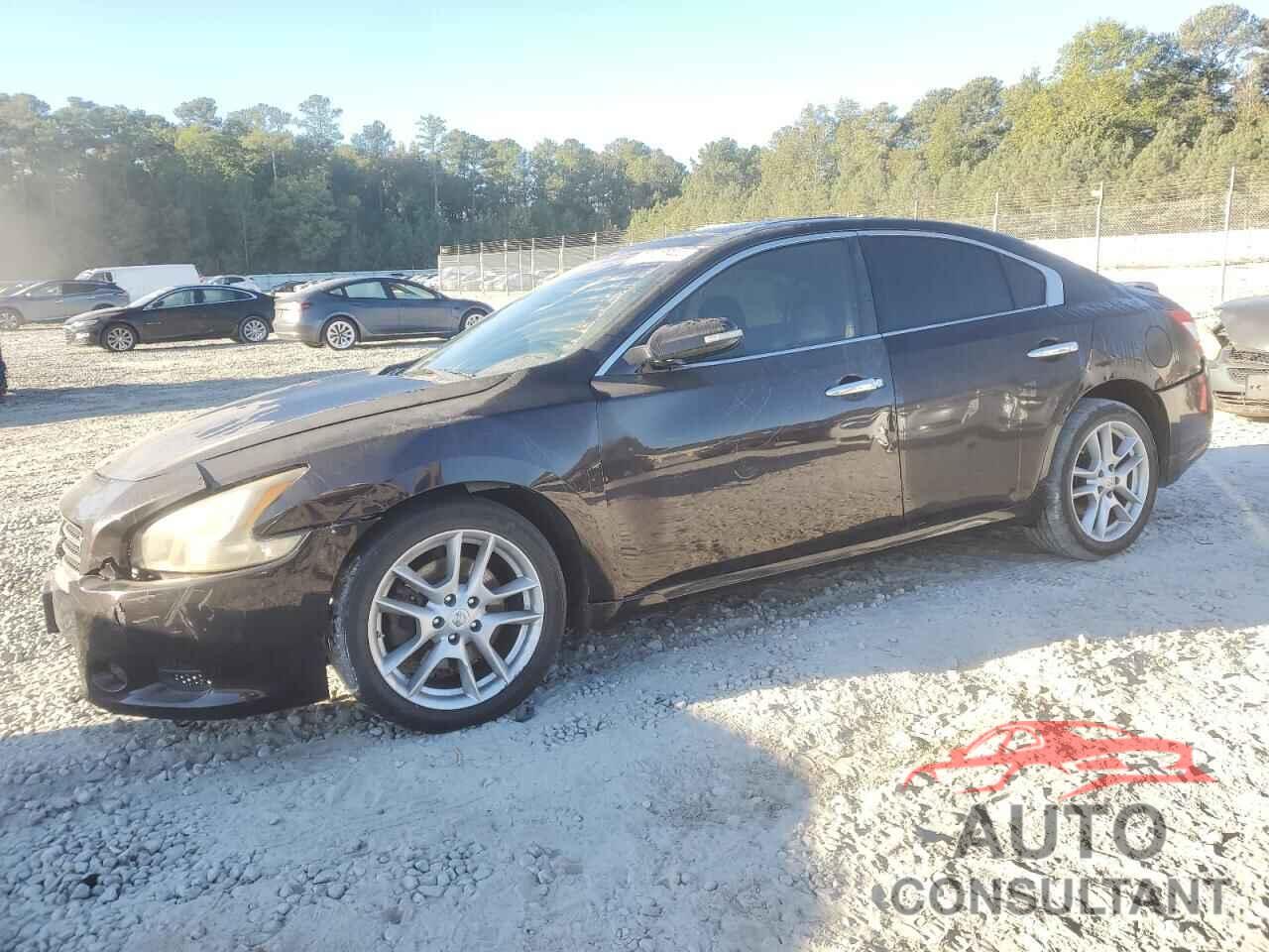 NISSAN MAXIMA 2010 - 1N4AA5AP8AC840964